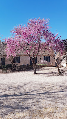 Au Perier à Beaumontois-en-Périgord