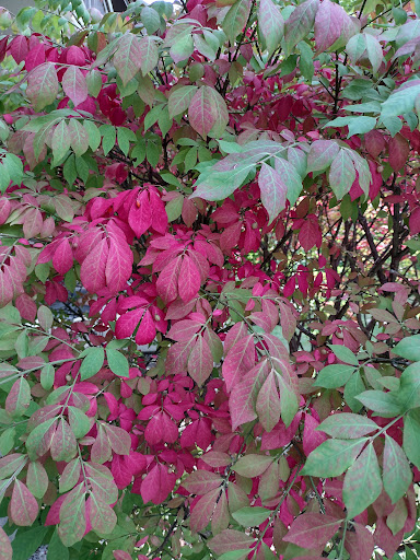 Casino «Leelanau Sands Casino & Lodge», reviews and photos, 2521 N West Bay Shore Dr, Peshawbestown, MI 49682, USA
