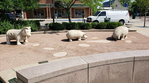 Coffee Shop «Kofenya», reviews and photos, 38 W High St, Oxford, OH 45056, USA