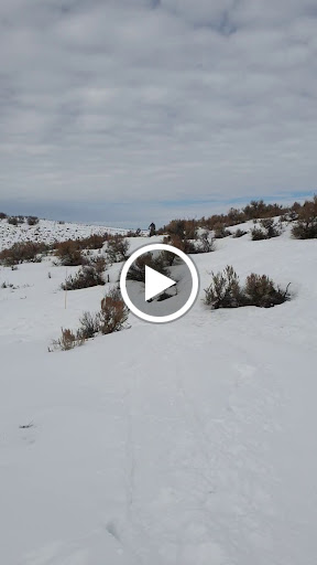 Outdoor Sports Store «White Pine Touring», reviews and photos, 1790 Bonanza Dr, Park City, UT 84060, USA