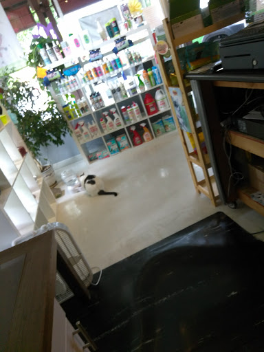 Pet Store «Debbies Pet Boutique», reviews and photos, 431 Center St, Healdsburg, CA 95448, USA
