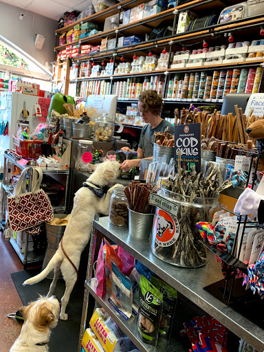 Pet Store «Rock Dog and Cat», reviews and photos, 1916 Colorado Blvd, Los Angeles, CA 90041, USA