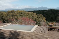 天空の森