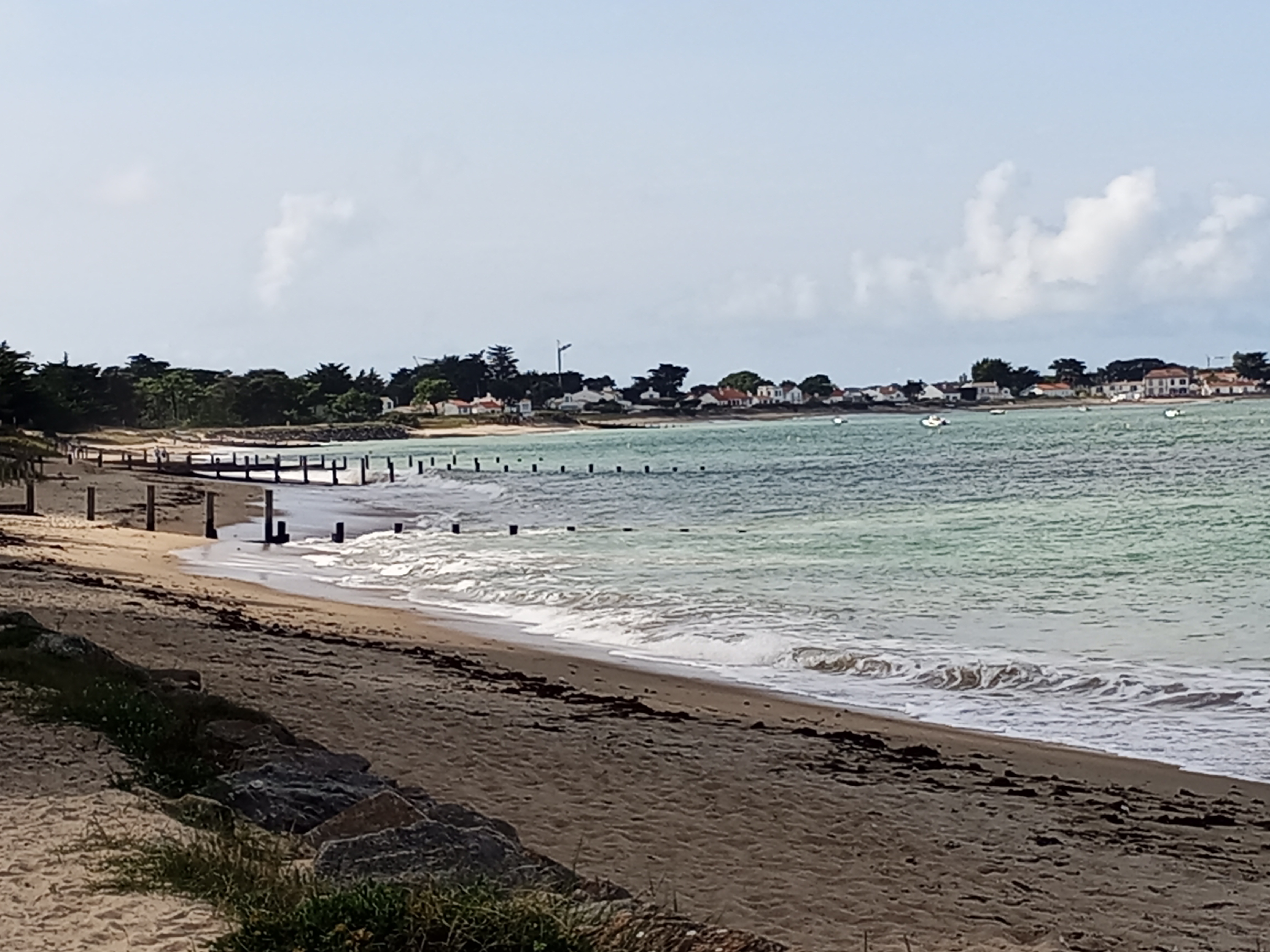 Photo n° 16 de l'avis de didier.e fait le 28/09/2023 à 07:41