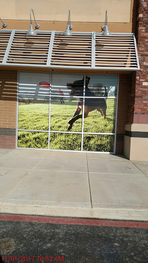 Pet Supply Store «Petco Animal Supplies», reviews and photos, 19767 Haynes Road, Catoosa, OK 74421, USA