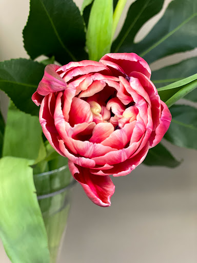 Florist «Blooms Of Wayne», reviews and photos, 2075 Hamburg Turnpike, Wayne, NJ 07470, USA