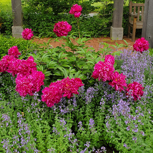 Golf Course «Preakness Valley Golf Course», reviews and photos, 209 Totowa Rd, Wayne, NJ 07470, USA