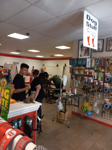 Pet Groomer «Happy Tails Self-Serve Dog Wash», reviews and photos, 267 Cotuit Rd Unit D, Sandwich, MA 02563, USA