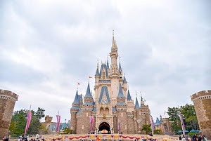 Disneyland - photo 30