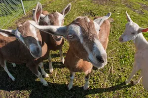 Sunnybrook Farm Museum image