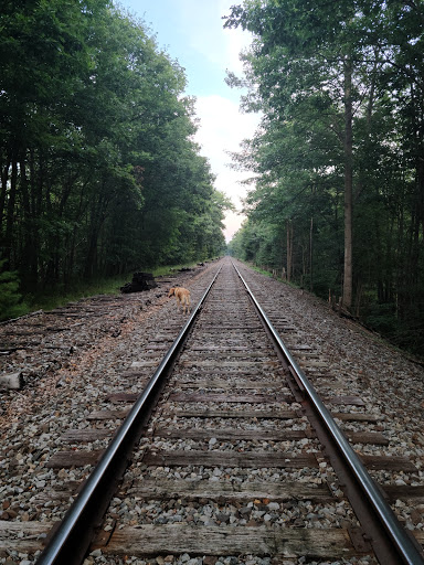 Swimming Pool Supply Store «Pocono Pool & Spa LLC», reviews and photos, 6382 PA-191, Cresco, PA 18326, USA