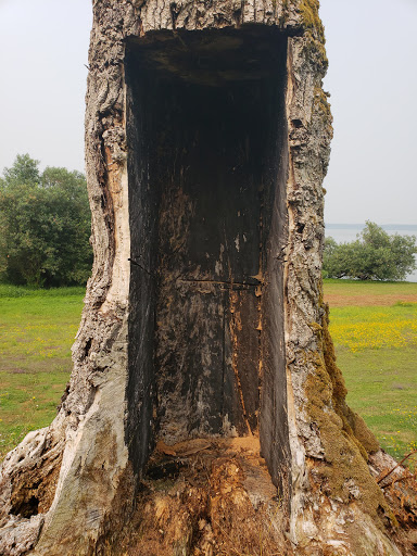 Public Golf Course «Lakeview Par 3 Golf Challenge», reviews and photos, 2425 NW 69th St, Vancouver, WA 98665, USA