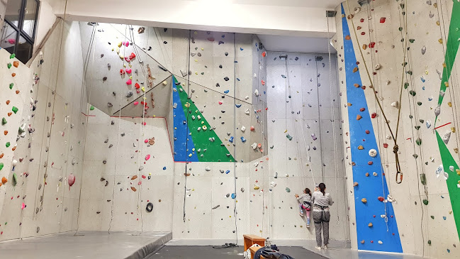 Opinii despre One Move Climbing Gym | Arad în <nil> - Sala de Fitness