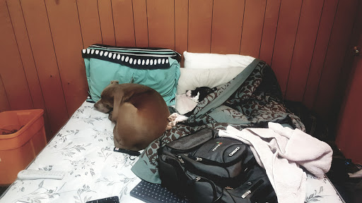 Photo of Colorado Comfort Pros