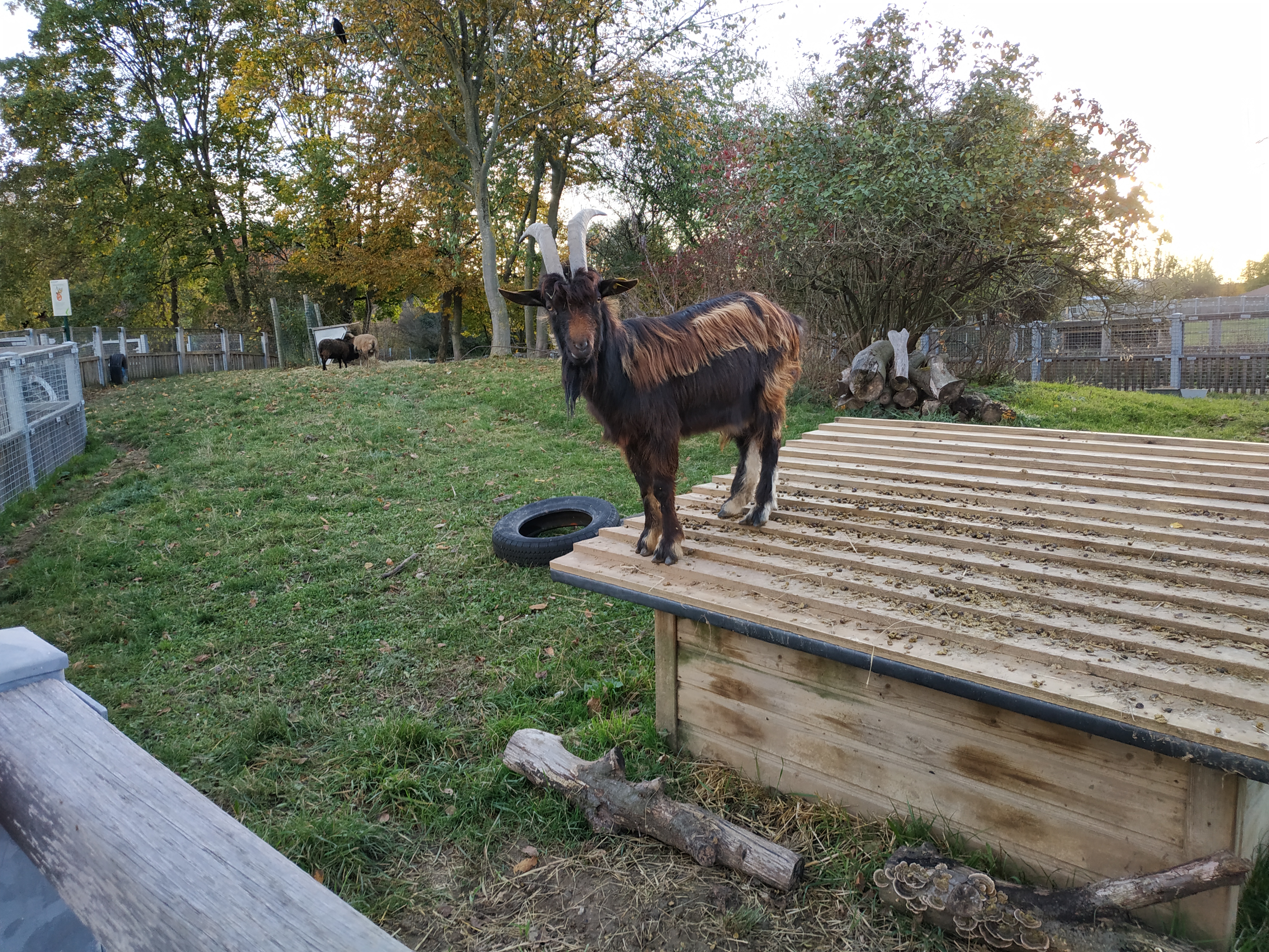Photo n° 1 de l'avis de DELIEGE.l fait le 08/11/2021 à 17:09