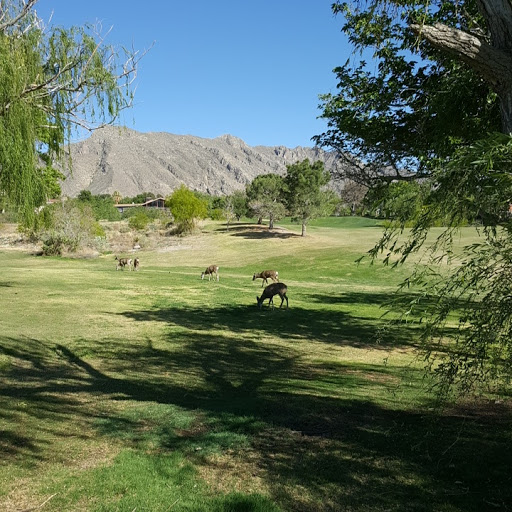 Country Club «Coronado Country Club», reviews and photos, 1044 Broadmoor Dr, El Paso, TX 79912, USA