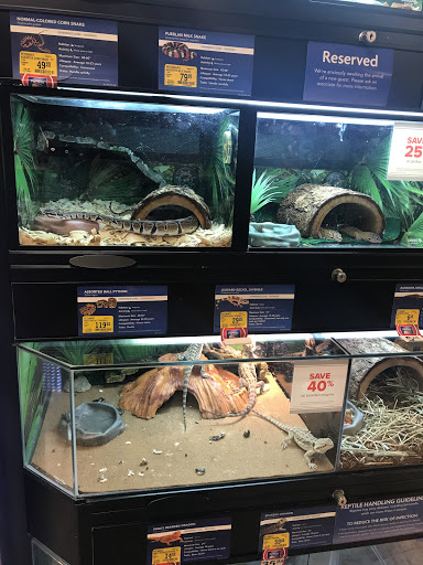 Pet Supply Store «PetSmart», reviews and photos, 215 Needham St, Newton, MA 02464, USA