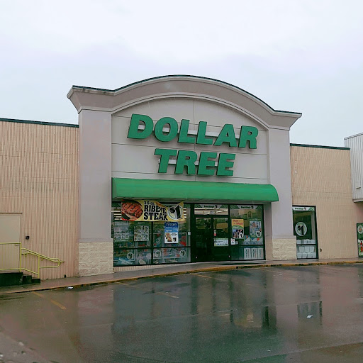 Dollar Store «Dollar Tree», reviews and photos, 231 Mose Dr, Sparta, TN 38583, USA