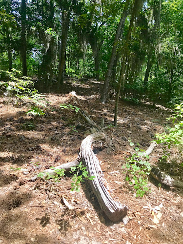 Bald Cypress Trail