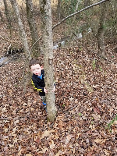 Auto Repair Shop «Pittman Automotive», reviews and photos, 2275 Braselton Hwy, Buford, GA 30519, USA