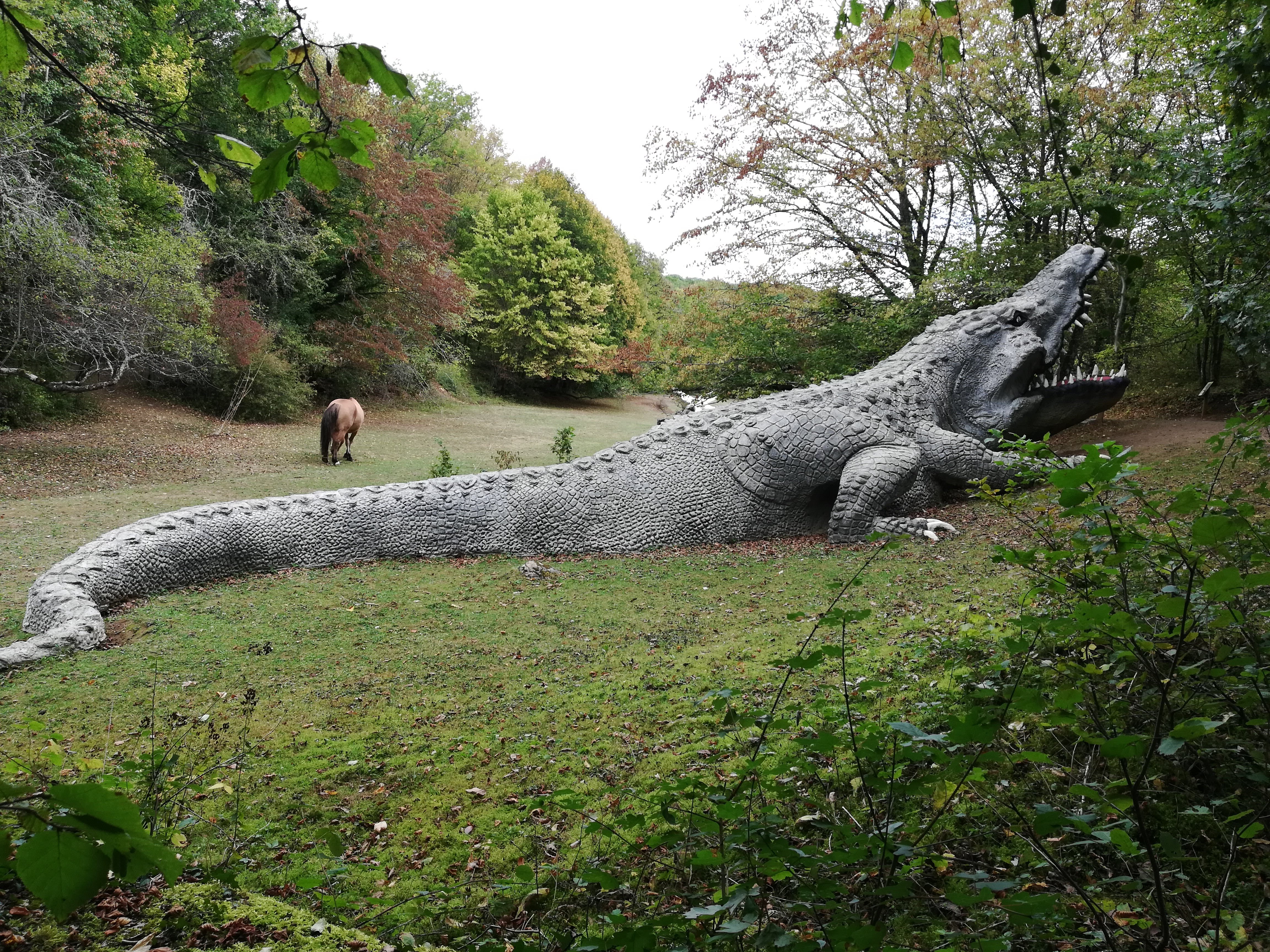 Photo n° 4 de l'avis de JACQUES.a fait le 30/09/2019 à 19:19