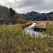 Alder Island Nature Trailhead