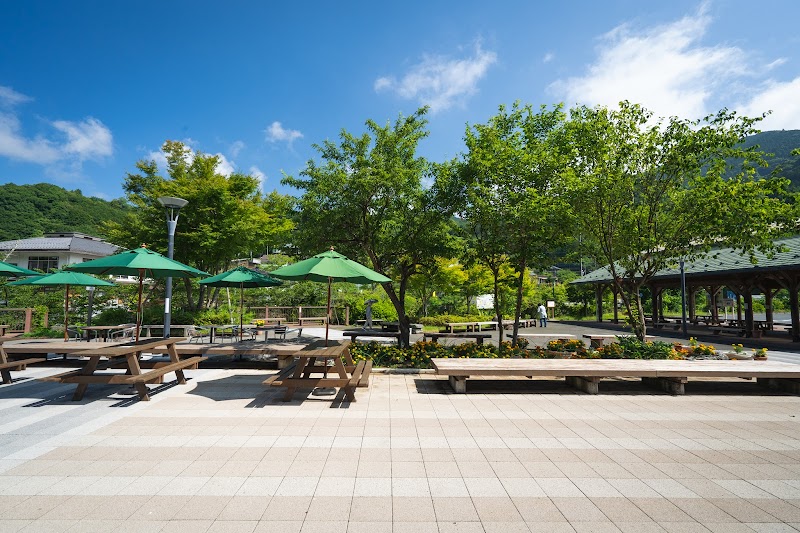 道の駅 果樹公園あしがくぼ