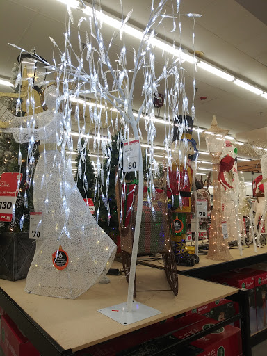 Discount Store «Big Lots», reviews and photos, 2412 S Volusia Ave, Orange City, FL 32763, USA