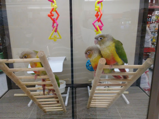 Pet Supply Store «Petco Animal Supplies», reviews and photos, 4013 W Walnut St, Rogers, AR 72756, USA