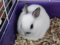 Sherwood Forest Feeders - Photo 7 - Car repair in San Antonio, TX, San Antonio