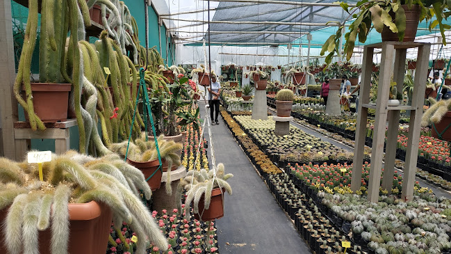 Vivero Jardin Exotico - Lurín