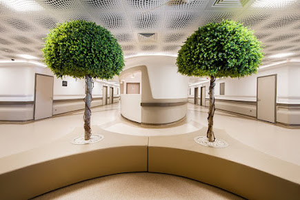 İstanbul Obesity Academy - İstanbul Obesity Academy