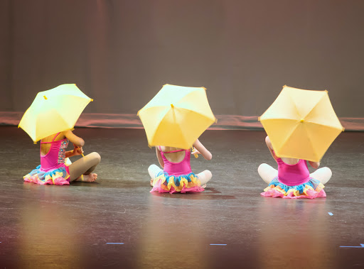 Dance School «Dance and Circus Arts of Tampa Bay», reviews and photos, 1490 N Belcher Rd, Clearwater, FL 33765, USA