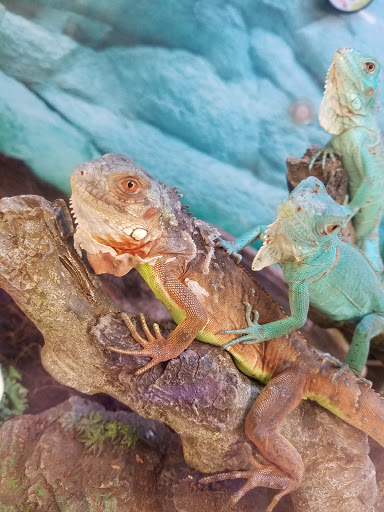 Pet Supply Store «Petco Animal Supplies», reviews and photos, 682 Broadway #1n, Saugus, MA 01906, USA