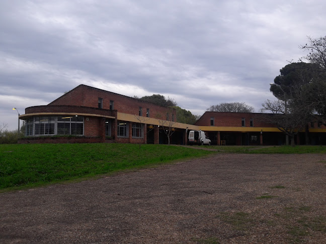 Zorrilla de San Martin, 60000 Paysandú, Departamento de Paysandú, Uruguay