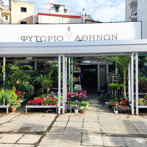 καταστήματα φυτών Αθήνα