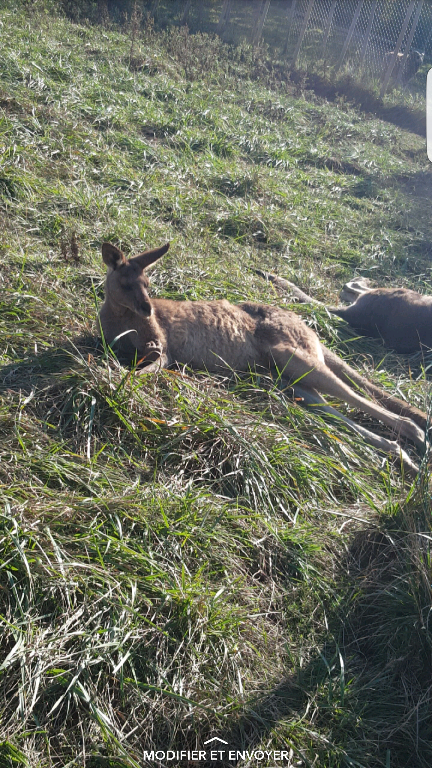 Photo n° 1 de l'avis de Coralie.a fait le 05/12/2016 à 15:05