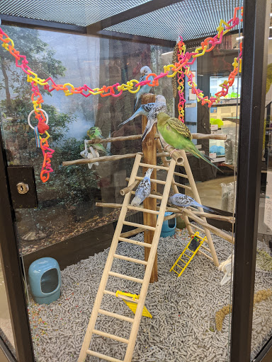 Pet Supply Store «Petco Animal Supplies», reviews and photos, 16710 Royalton Rd, Strongsville, OH 44136, USA