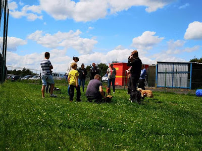Club d'agility, flyball et d'éducation Solesmes à Solesmes