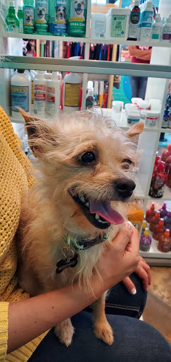 Pet Adoption Service «Found Animals Adopt & Shop», reviews and photos, 353 Lakewood Center Mall, Lakewood, CA 90712, USA