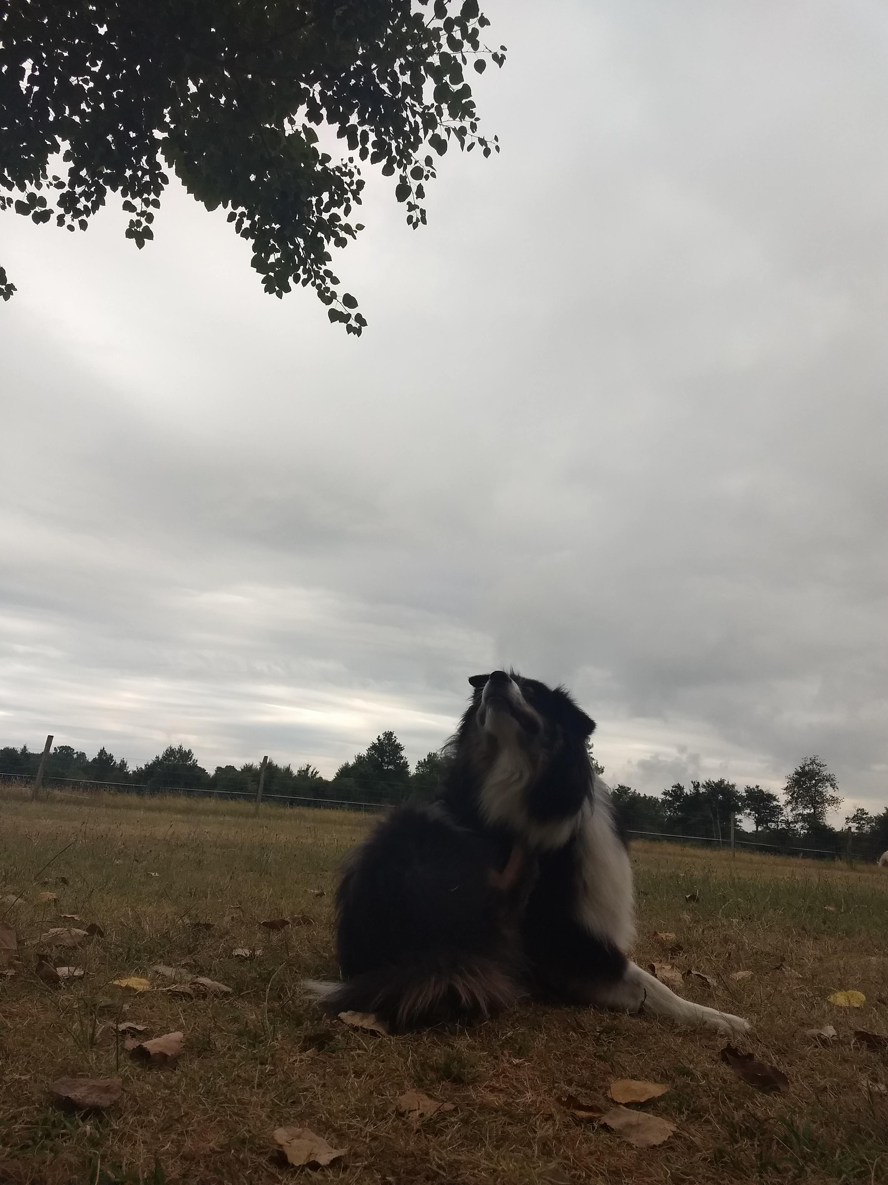 Photo n° 1 de l'avis de giada. fait le 13/08/2018 à 14:15