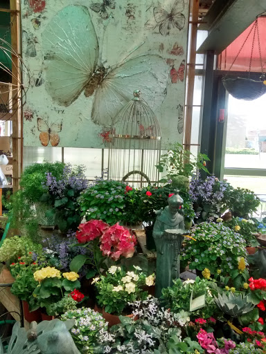 Plant Nursery «Sturtz & Copeland Florist & Greenhouses», reviews and photos, 2851 Valmont Rd, Boulder, CO 80301, USA