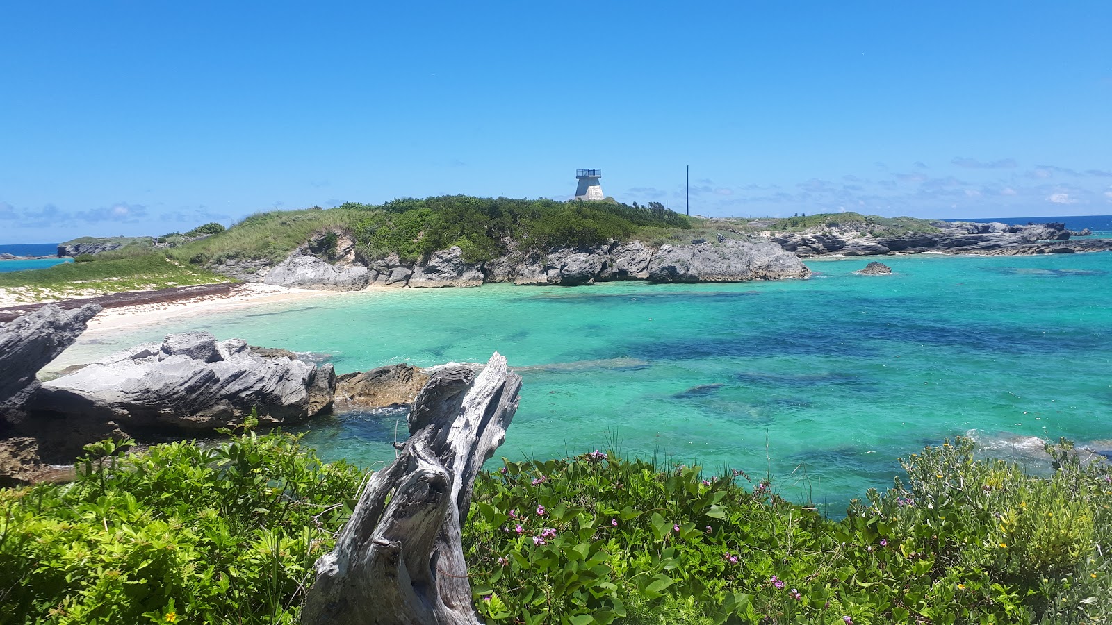 Photo de Long Bay Beach et ses beaux paysages