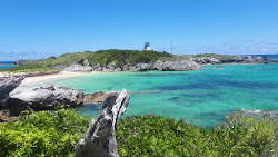 Photo de Long Bay Beach et ses beaux paysages