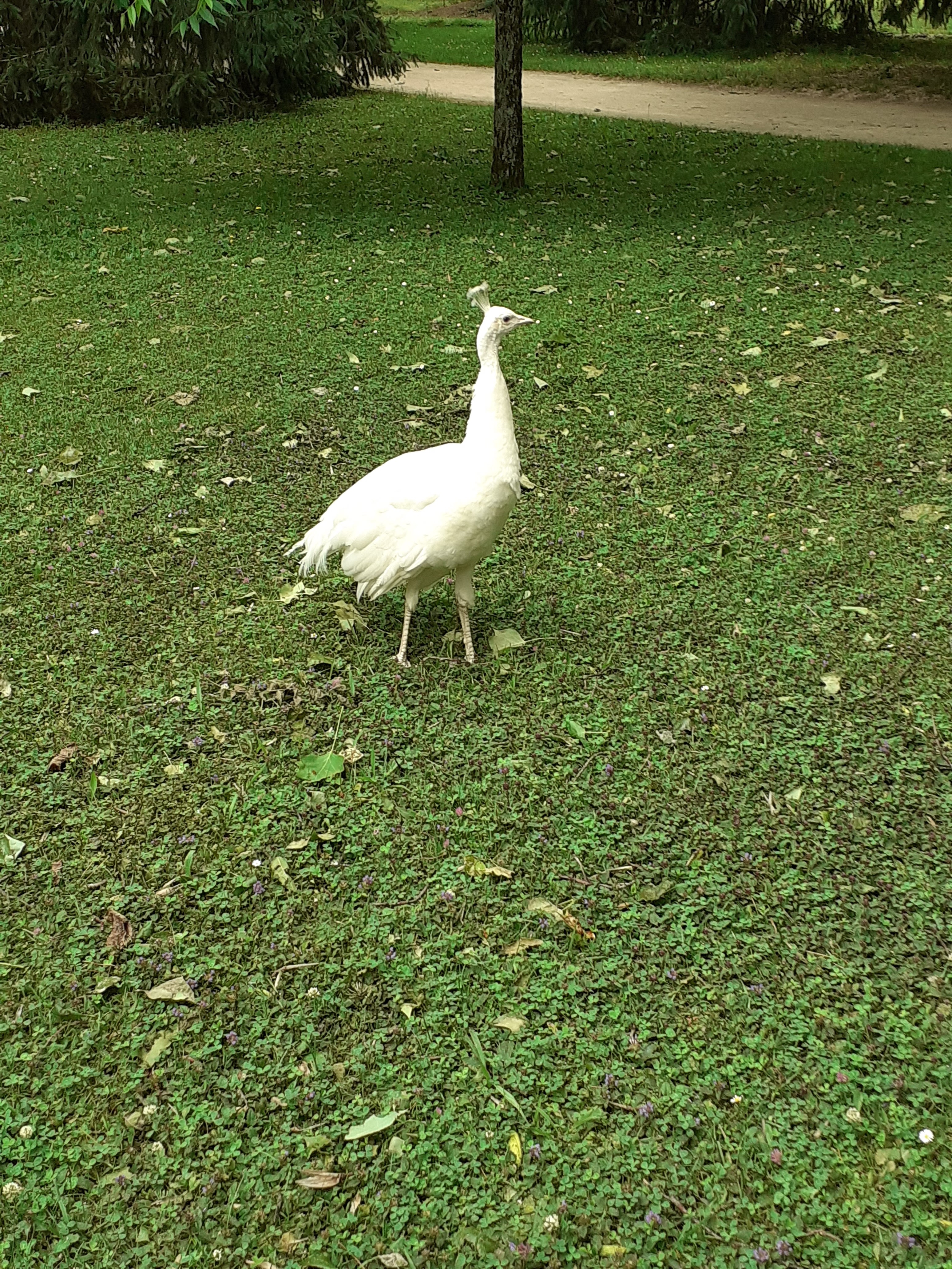 Photo n° 2 de l'avis de Lionel.a fait le 29/06/2021 à 18:43