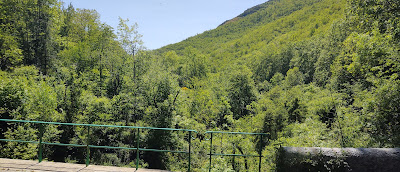 Pont de Can Pujol à Montferrer