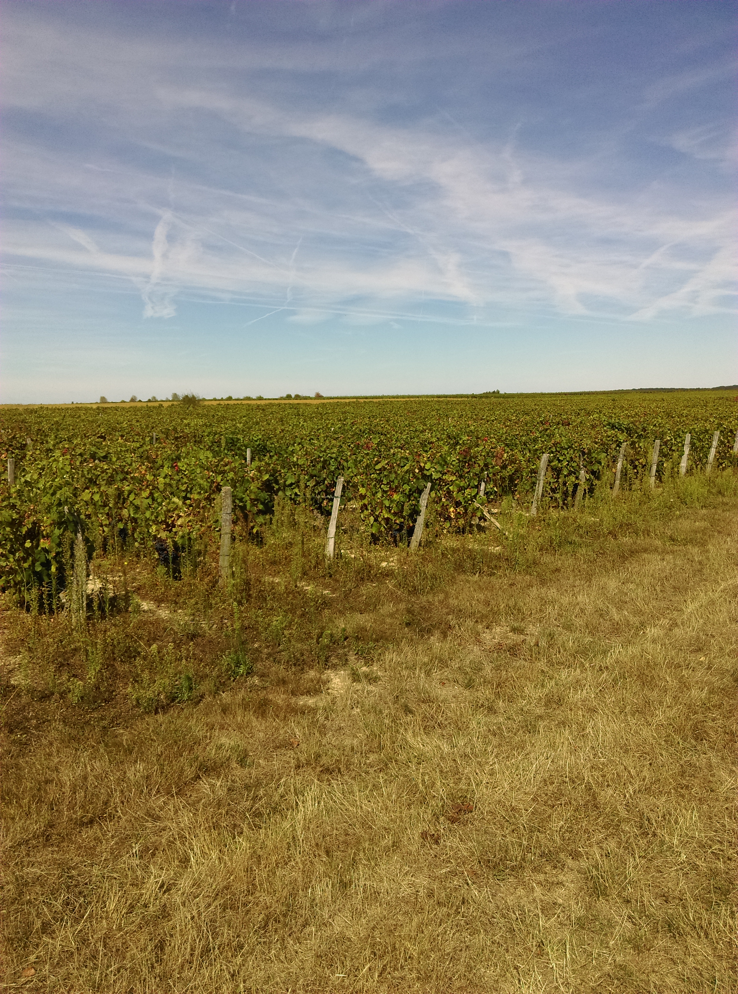 Photo n° 2 de l'avis de Gabet.r fait le 09/09/2018 à 13:24