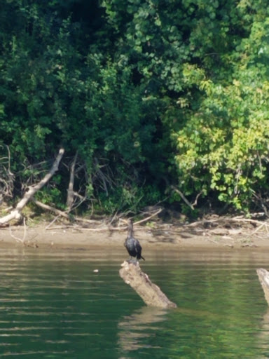 Non-Profit Organization «Sacramento Habitat For Humanity», reviews and photos, 819 N 10th St, Sacramento, CA 95811, USA