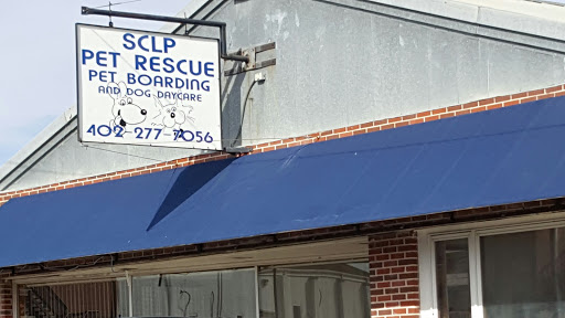 Saunders County Lost Pets - Pet Rescue