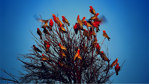 Insurance Agency «The Bullock Agency», reviews and photos